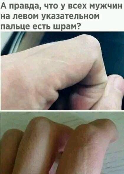 FB IMG 16928108605881907