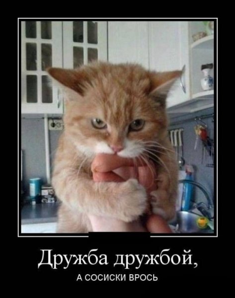 Сосиска