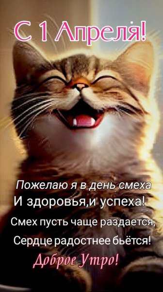 Ed084b378199ba88611189a98d7c4950