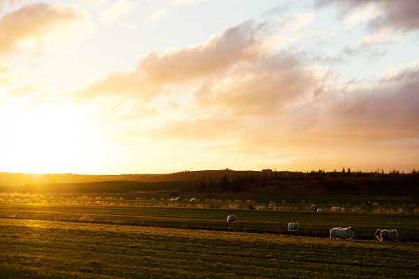 Sunrise-village