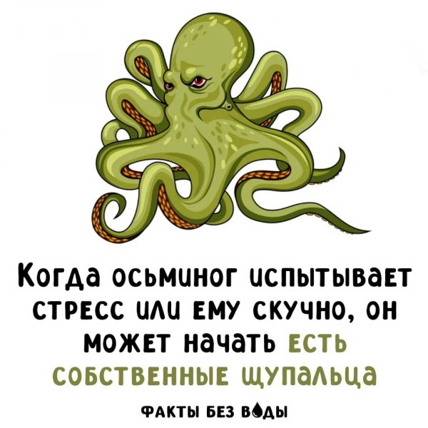 IMG 20251114 164144 972