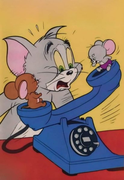 FB IMG 1723971668296