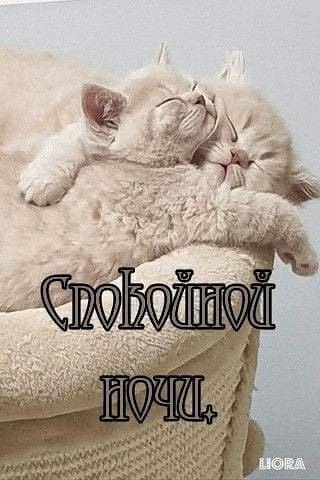 a74aa752e1c74f289f4e340ffbc