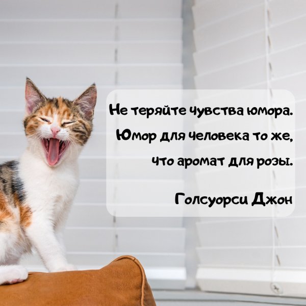 Голсуорси Джон