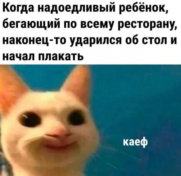 4mxewiv5