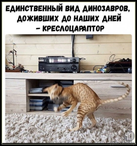Креслоцараптор