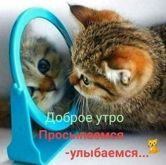 b1573dc8cea7f0a0040e371faefd