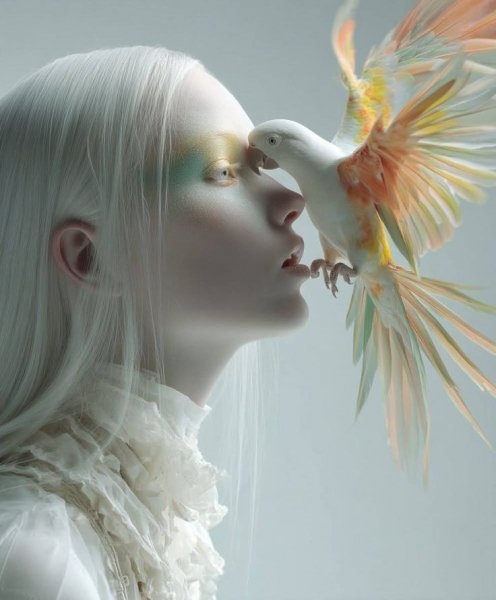 47aa9869b041376ddef0c0c762c8fc55