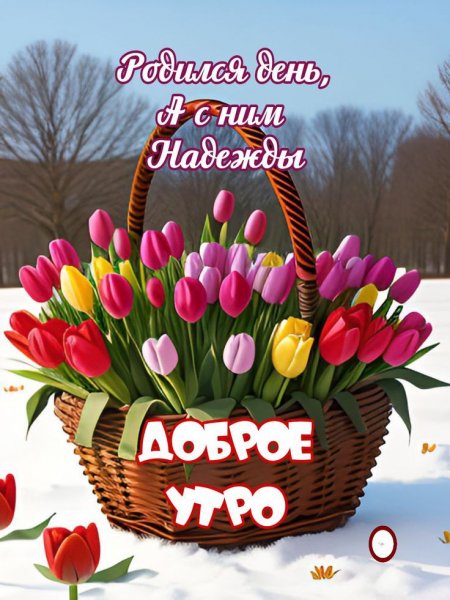 Ca473eee52b3298b563832e9979079f5