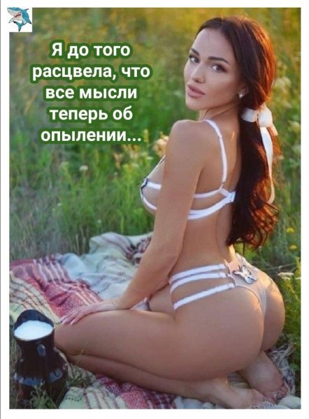 60d3e3a28907b59a26af809ef35539ec