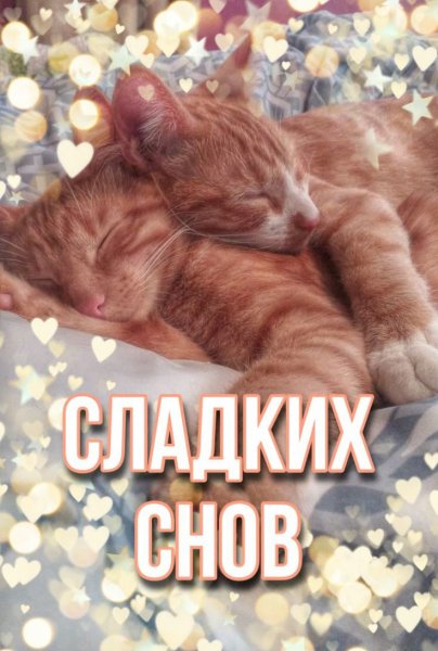 Ca2608626b74d30b5315a7ae4884a5be