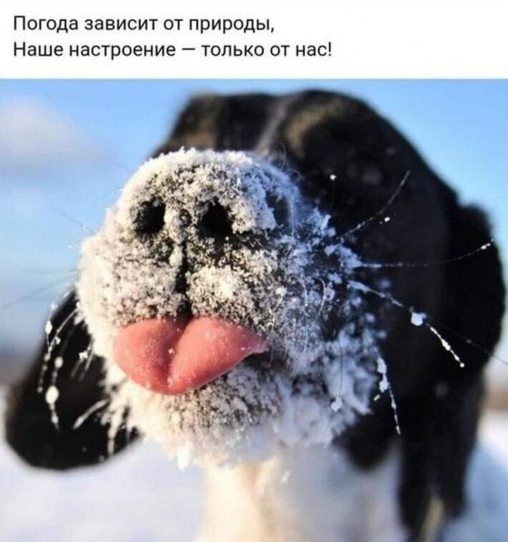 IMG 20211230 012549