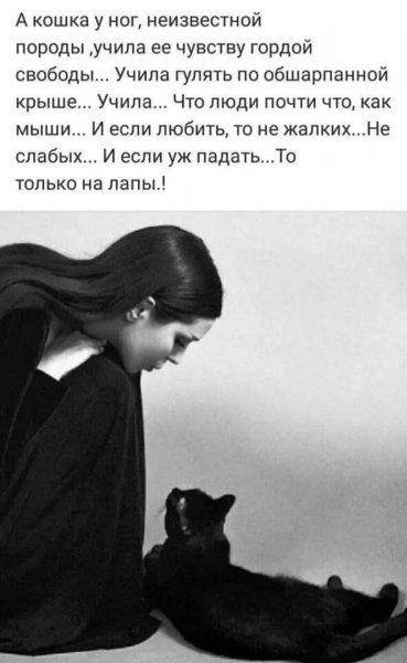 IMG-fbce706d42a6666239c1baa9d7a1f401-V