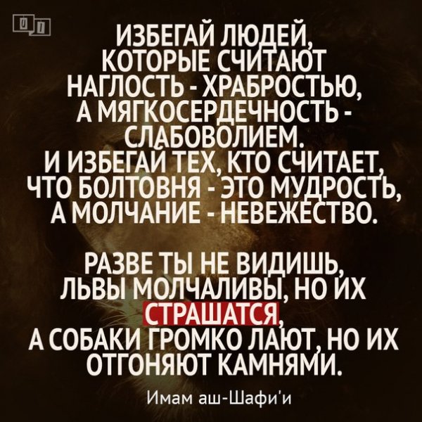 Имам аш-Шафи'и