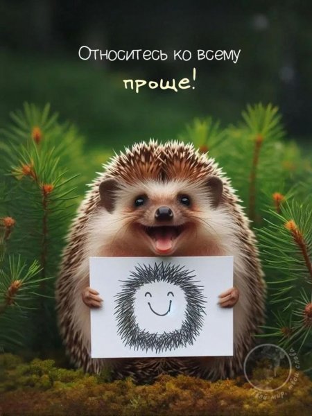 F79e494c539edd1cccad72e641847ce0