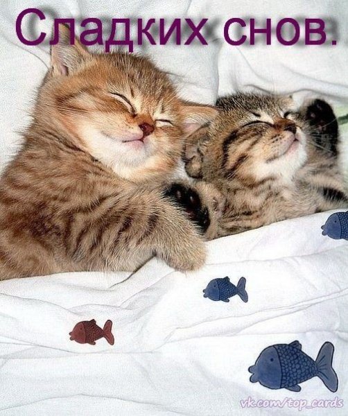 bf3008ccc1d0e05fefd3856d58d80501