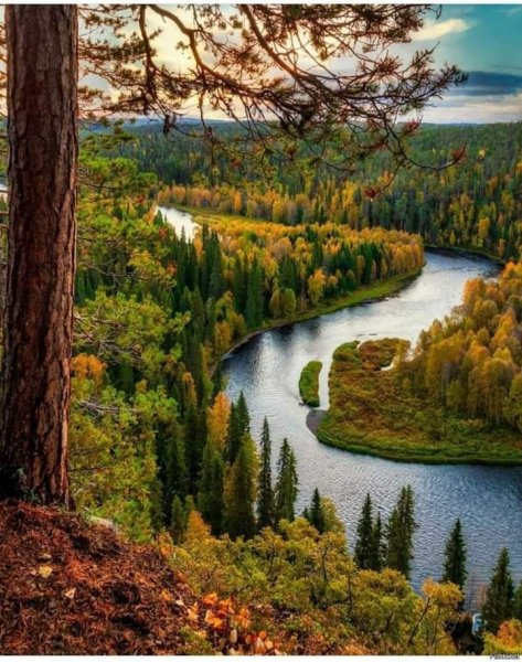 19-09-17-240817259 1978088455676020 1324207114528271391 n