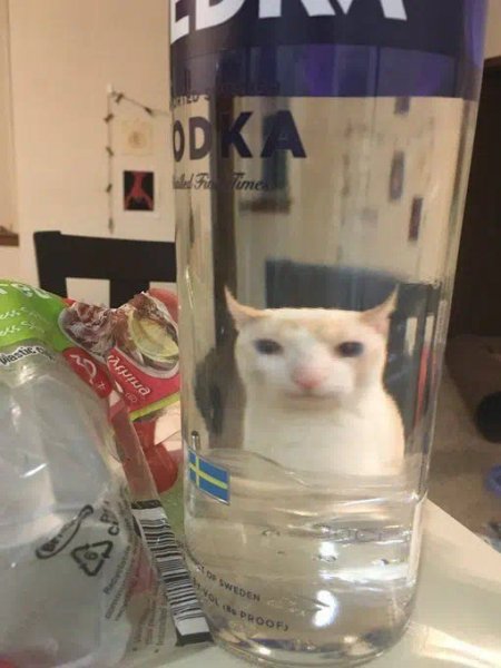 E4682809-6af1-4f91-b984-b72ff16d1fd9