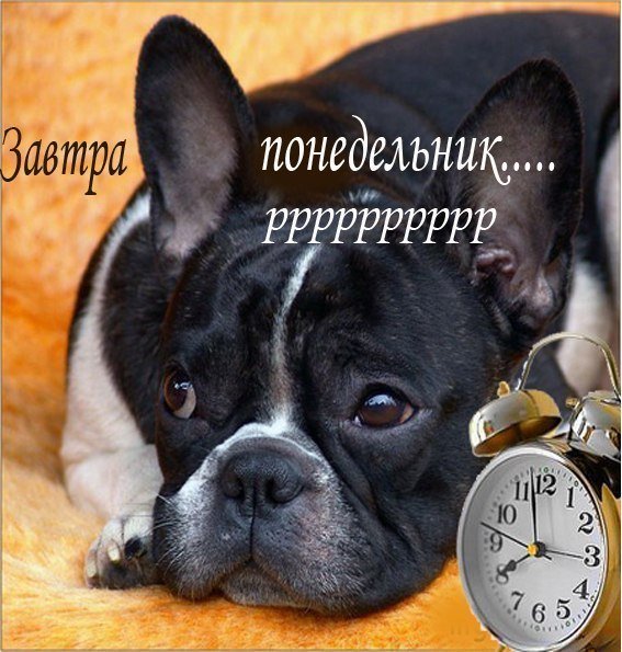 Завтра...