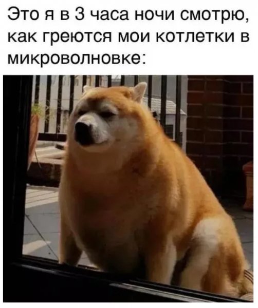 Podborka-kartinok-i-staryh-shutok-27