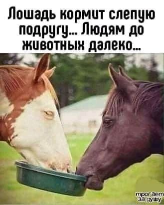 FB IMG 16343902942696274