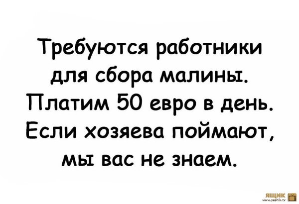 8pw44q36ss 900 9999 a