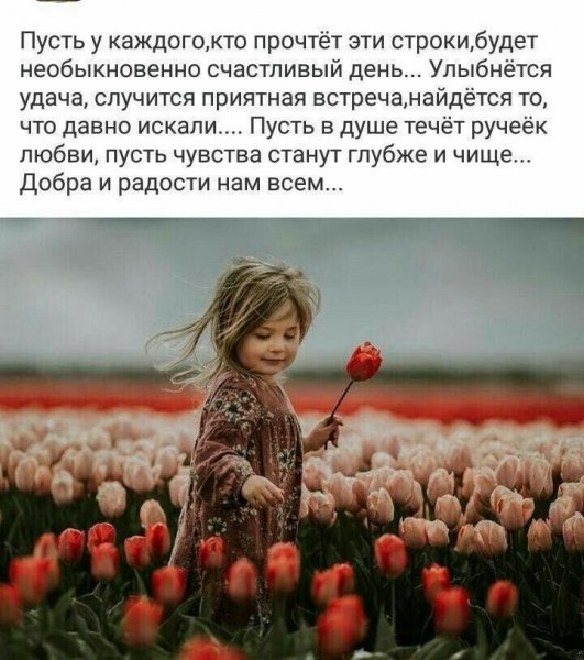 3ee866c8d38d1b209ad8ef5dd319274b