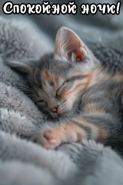 IMG 20260409 202949 511