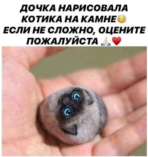 FB IMG 16429378072173973