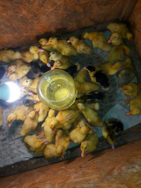 IMG 20250809 104640 781