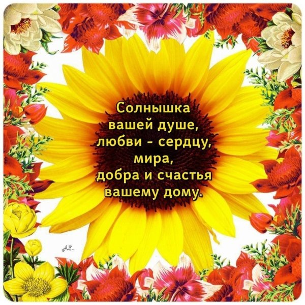 Счастья вашему дому