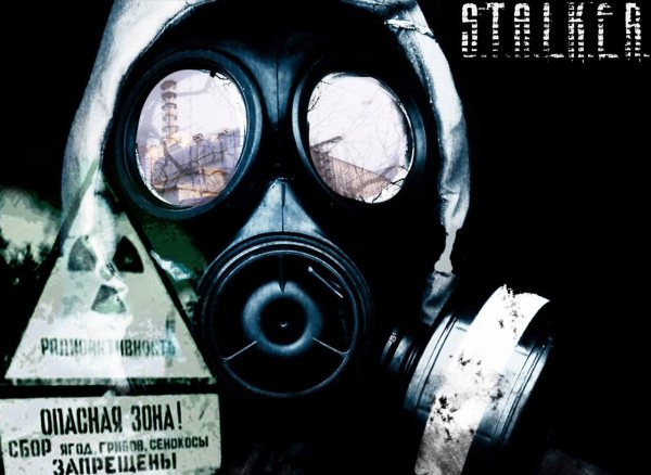 Stalker 144020