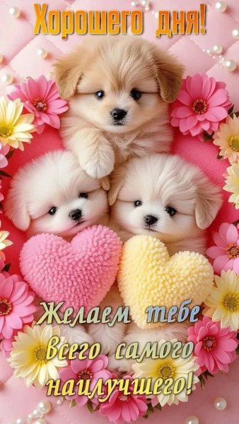 IMG 20260521 223427 957