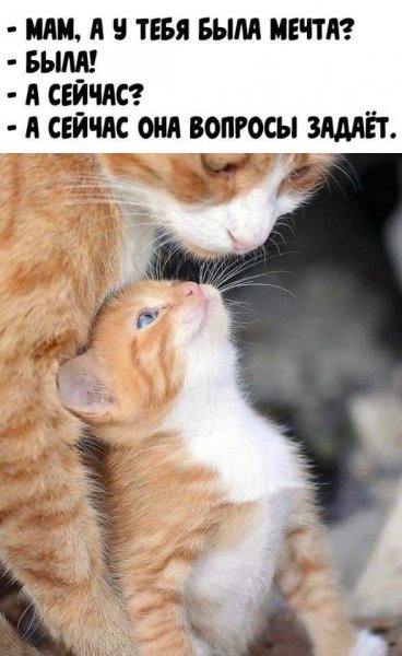 FB IMG 1585373769693