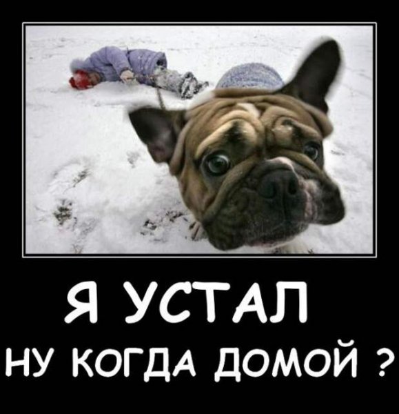 pics
