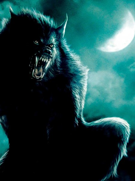 polinka-top-p-oboroten-foto-kartinki-vkontakte-50