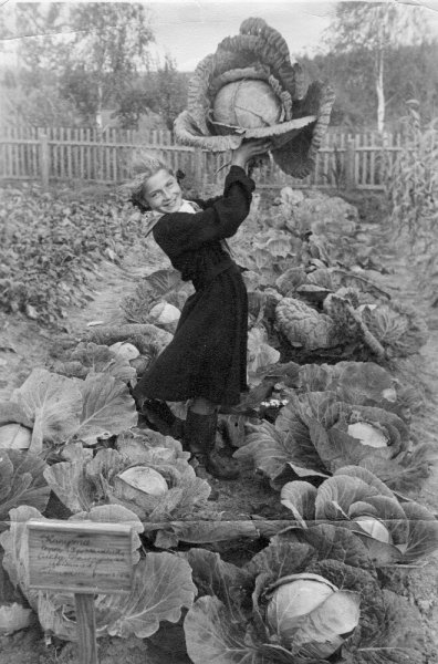 Школьный опытный огород