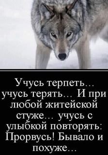 img 17 1644515382762