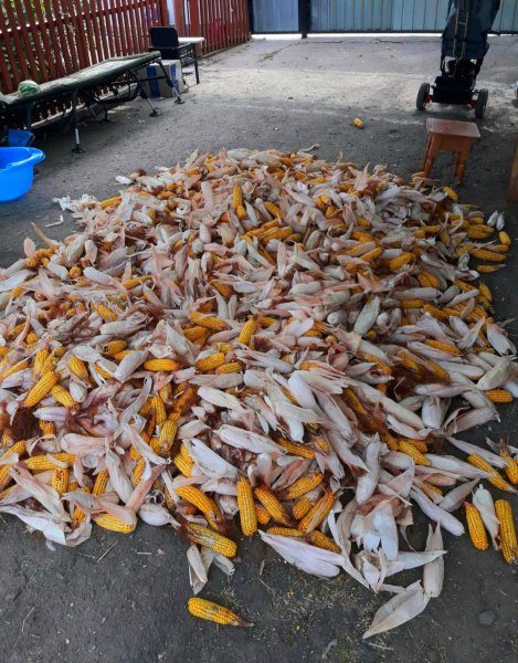 IMG 20240821 101418 972