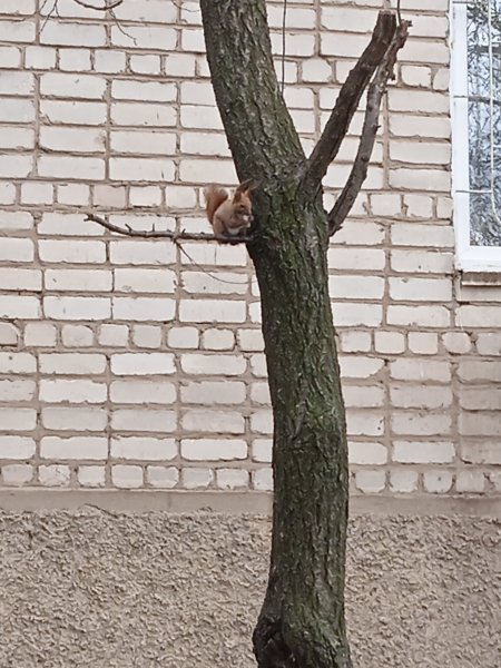 IMG 20260407 120356 1