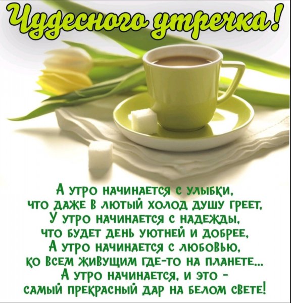 Друзья мои!