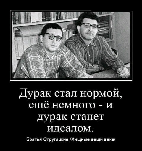 Дурак стал нормой