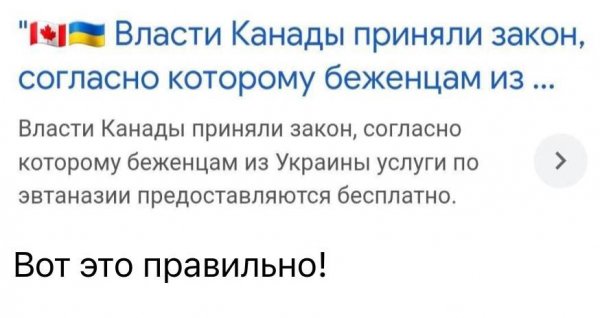 Эвтаназия бесплатно