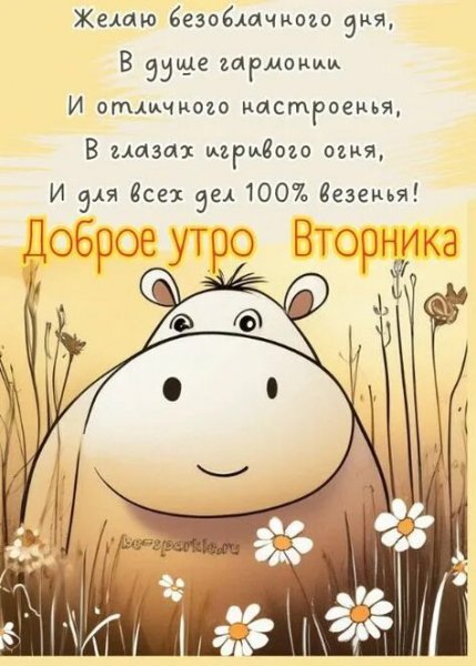 Друзья мои!