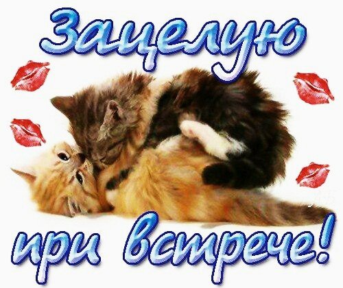 зацелую 021000