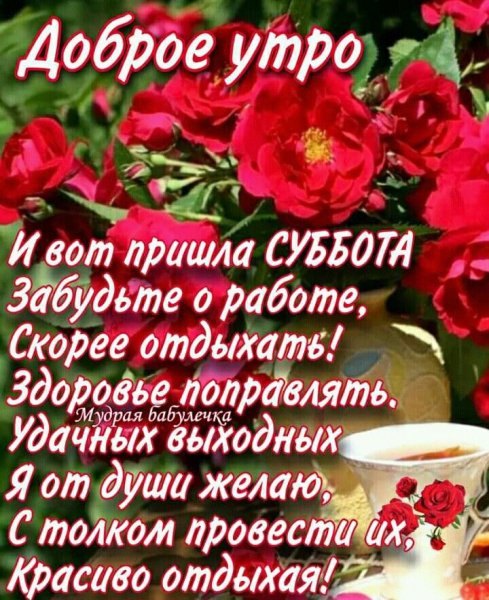 D0de29747506e504023d62b933c23052