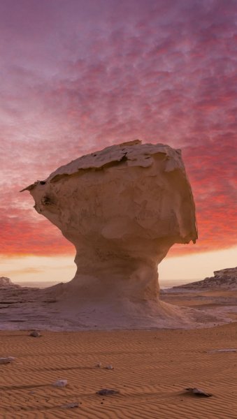 Screenshot 20260122-111402 One UI Home