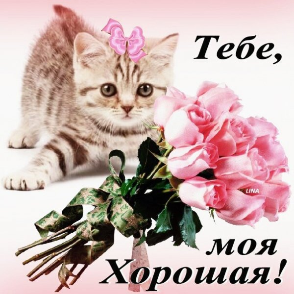 тебе 087000