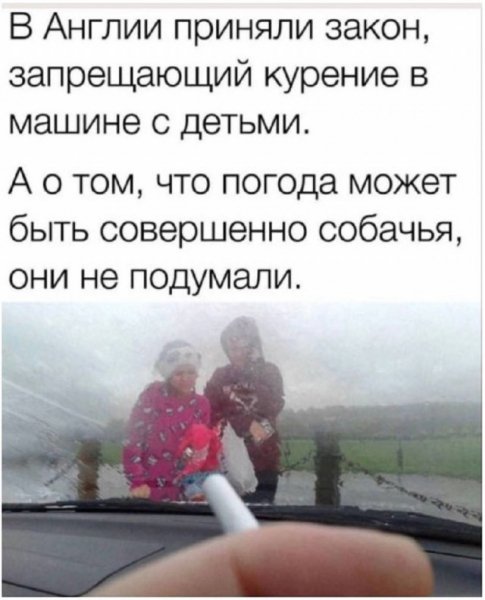 -zarjazhaemsja-pozitivom-i-smehom-7