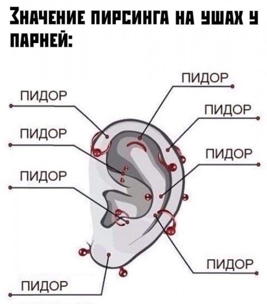 FB IMG 1618285904526